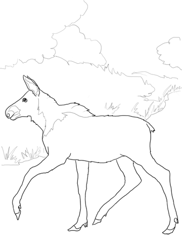 Baby Moose Coloring Page